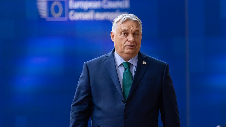 Die Regierung von Viktor Orban soll für die EU arbeitende Ungarn zum Spionieren gedrängt haben.