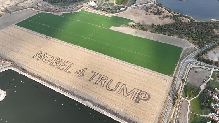 Ein israelischer Landwirt machte Werbung dafür, dass Trump den Friedensnobelpreis bekommt.