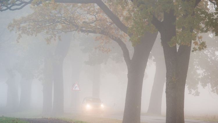 Bei plötzlich auftauchendem Nebel sollten Fahrer Tempo rausnehmen und den Abstand zum Vordermann vergrößern.