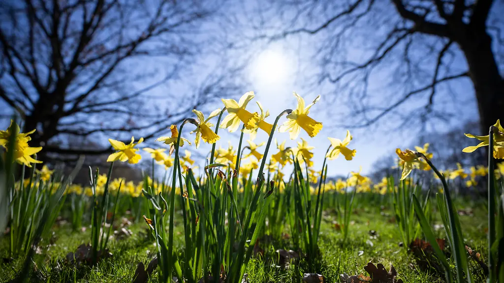 69b36e5f33168c8bb5545cc28685948c