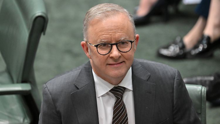 Albanese will die Rohstoffabkommen vor dem Treffen mit Trump am 20. Oktober abschließen.