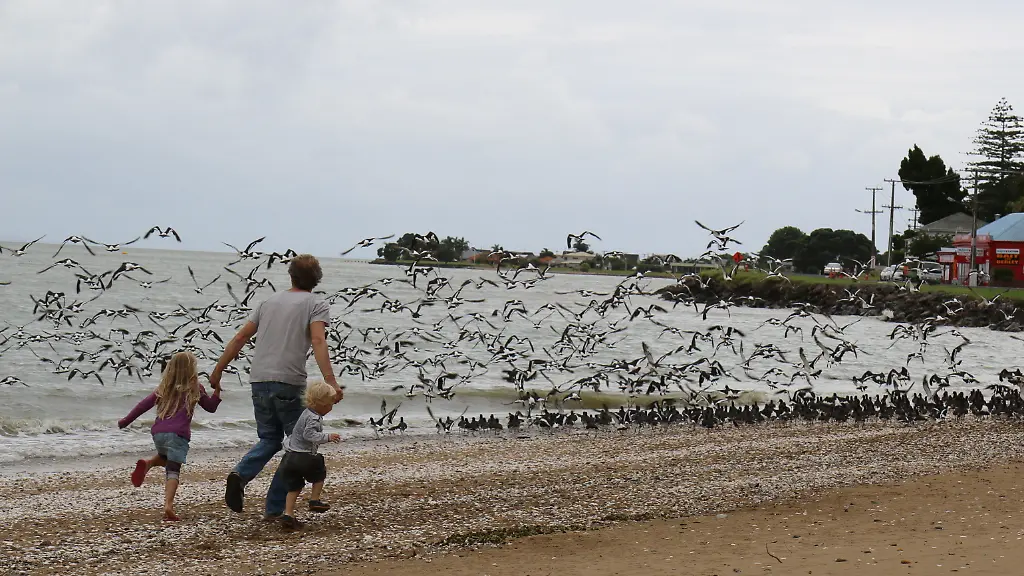 Neuseeland-Nordinsel