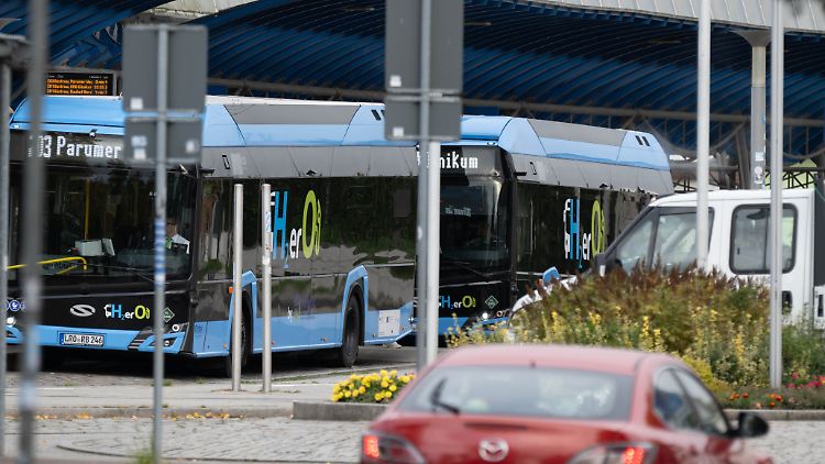 Fährtenspürhunde verfolgten die Spur des Jungen bis zum Omnibusbahnhof in Güstrow.