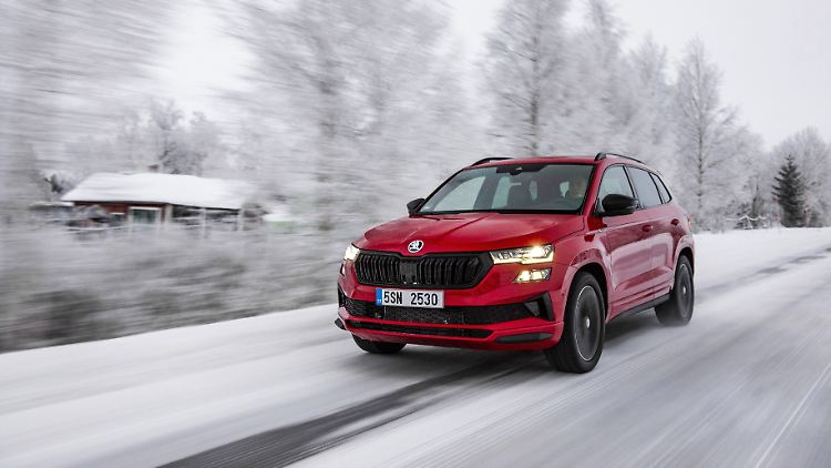 Schwarze Akzente am Kühlergrill, an den Spiegelkappen und der Dachreling heben den Skoda Karoq von anderen SUVs ab.