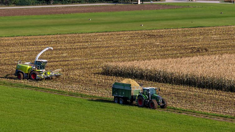 Für 500.000 angestellte Landwirte will die IG BAU verhandeln.