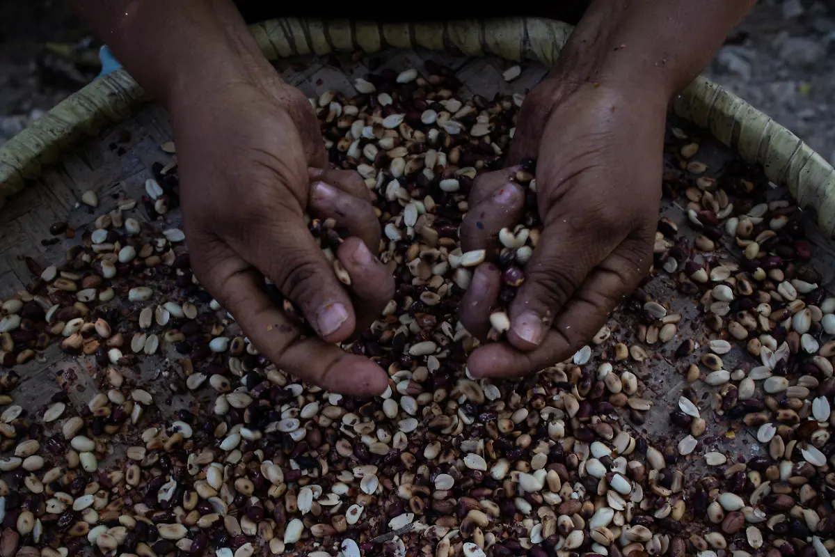 2021-11-02T170414Z-1142651656-RC2RLQ9AKD84-RTRMADP-3-HAITI-DAYOFTHEDEAD