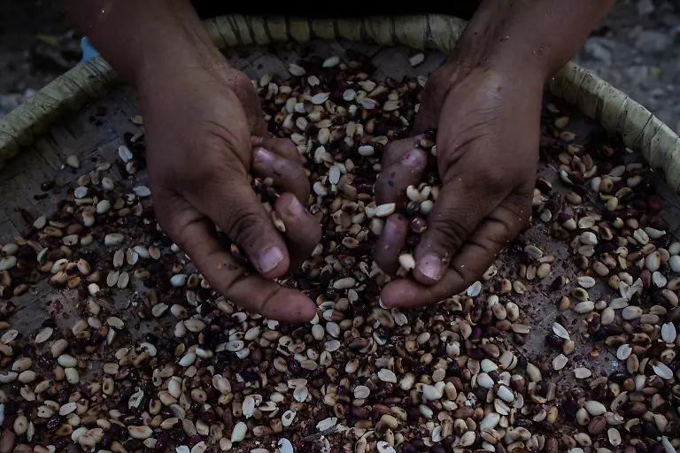 2021-11-02T170414Z-1142651656-RC2RLQ9AKD84-RTRMADP-3-HAITI-DAYOFTHEDEAD