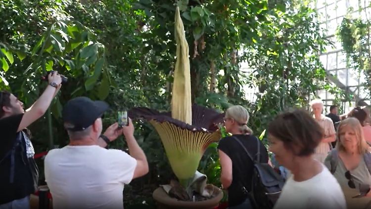 Screenshot 2025-10-15 122858.png