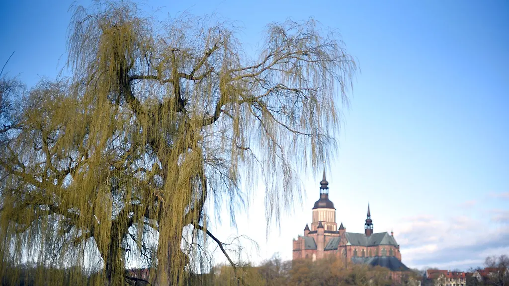 Blick-ueber-den-Knieper-Teich-auf-die-Marienkirche-von-Stralsund