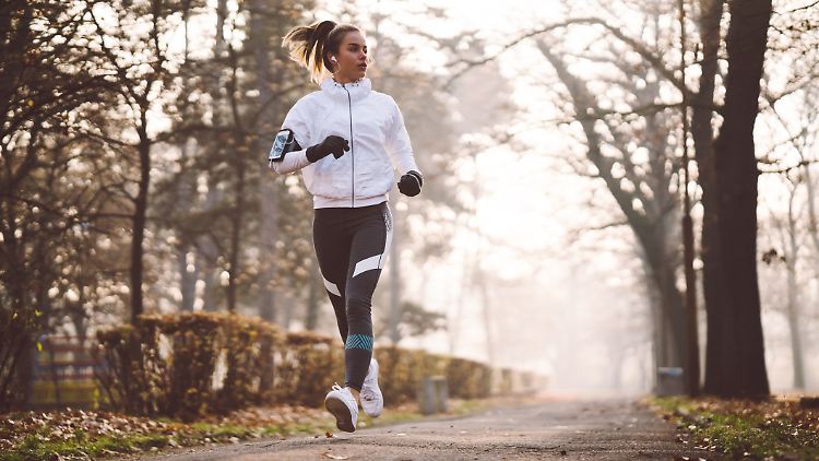 Decathlon reduziert zahlreiche Sportartikel – vom Laufband bis zu Kurzhanteln.