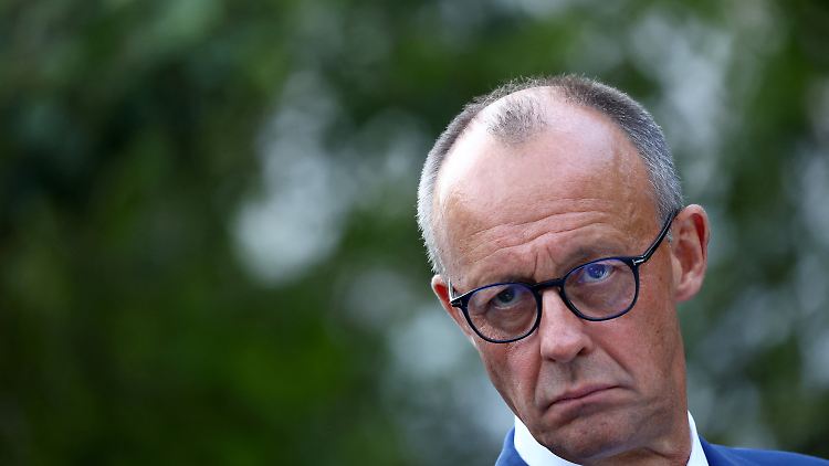 "Die AfD stellt die Bundesrepublik Deutschland in Frage", sagte Merz.