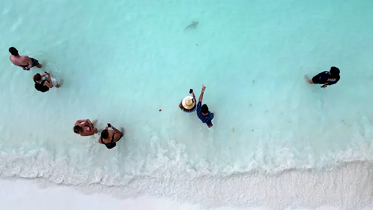 Tourists-watch-a-newborn-blacktip-reef-shark