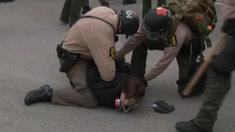 Chicago Protest.jpg