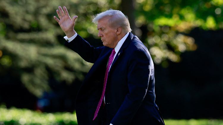 Ist Donald Trump bald Ehrenbürger eines pfälzischen Landkreises?