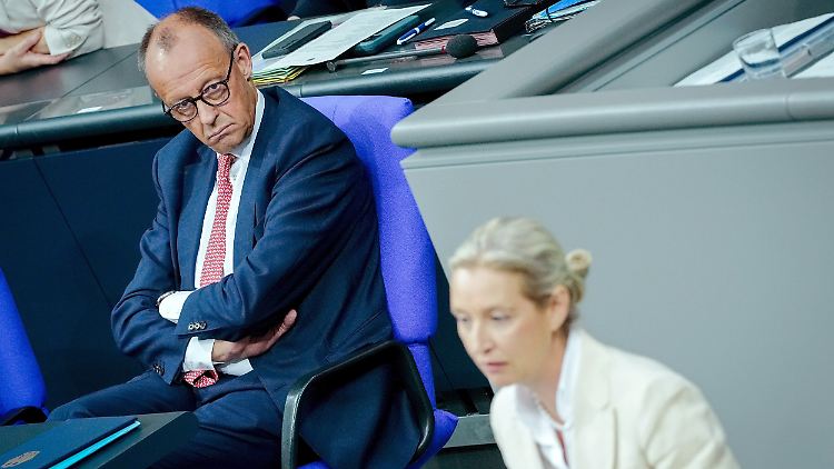"Merz und seine Funktionäre mauern die Union weiter ein", schrieb Weidel.