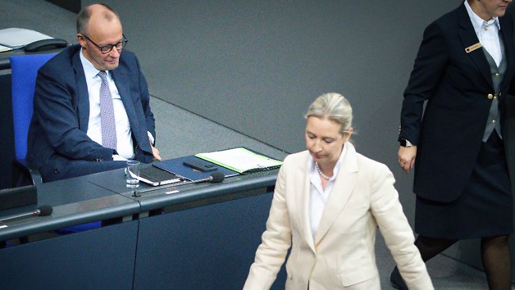 Merz und Weidel sind sich in inniger Abneigung verbunden. 