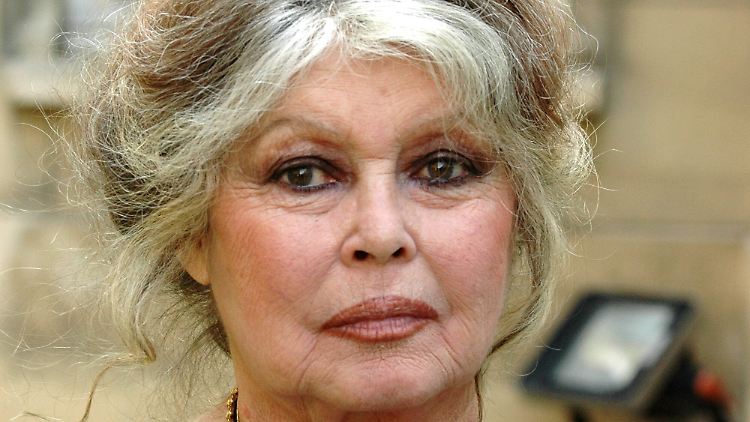 Fans mussten sich zuletzt Sorgen um Brigitte Bardot machen. (Archivbild)