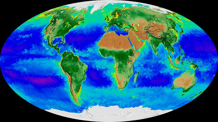 Mollweide-Projektion der Erde und ihrer Biosphäre (Bild aus einem 2017 von der Nasa veröffentlichten Video).