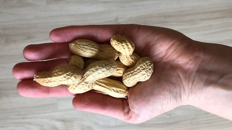 In den USA sind Erdnüsse nun nur noch die zweithäufigste Allergieursache.