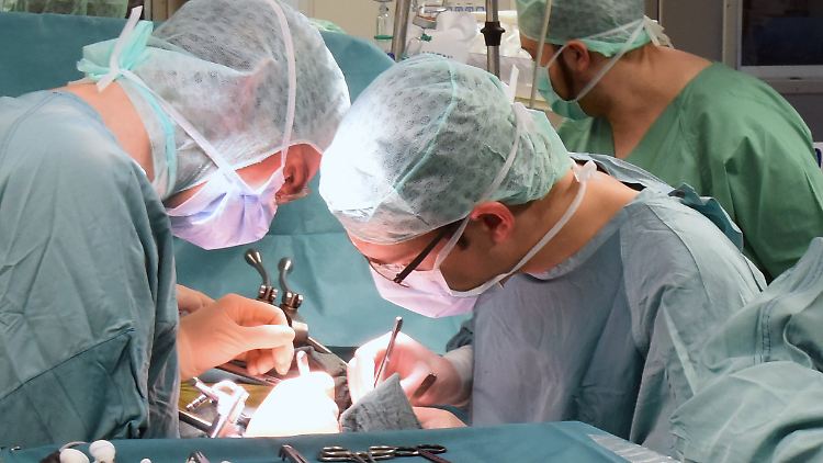 Am Uniklinikum in Leipzig wird eine Niere transplantiert.