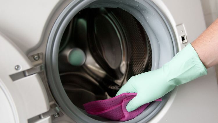 Die regelmäßige Reinigung der Waschmaschine beugt Gerüchen und Schimmel effektiv vor: Besonders bei Frontladern ist die Türmanschette an der Trommel ein kritischer Bereich.