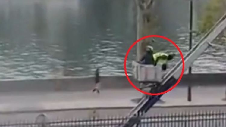 LouvreFlucht.jpg
