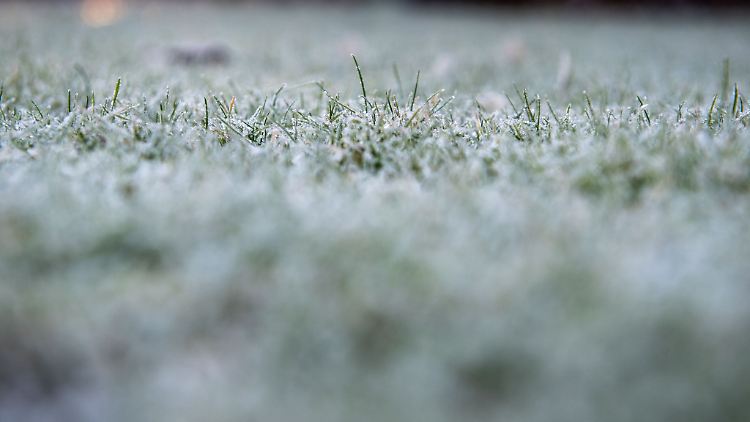 Mit der richtigen Vorbereitung kommt der Rasen gut durch den Winter: Mähen bis die Temperaturen unter 10 Grad fallen, Laub entfernen und im Oktober noch einmal mit speziellem Herbstdünger versorgen.