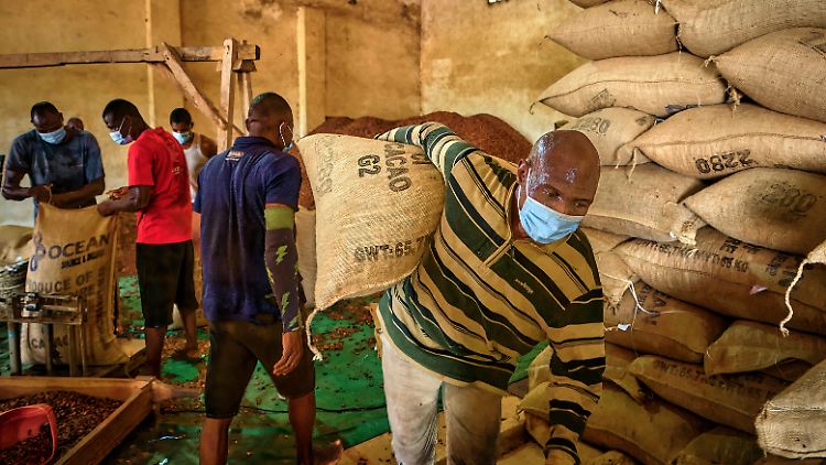 Deutschland importiert jährlich Kakao im Wert von mehreren hundert Millionen Euro aus der Côte d’Ivoire.