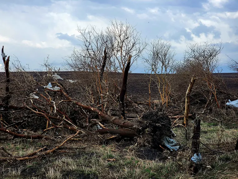 f882da52509bbae9bdd67ca2ea5c404c