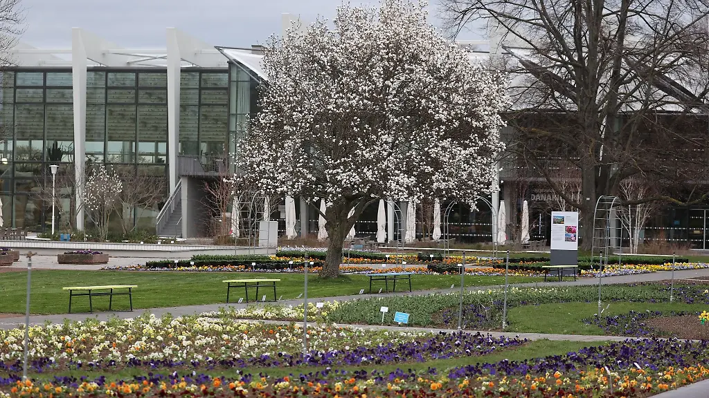 Bunte-Fruehlingsblumen-bluehen-auf-dem-Gelaende-der-Erfurter-Gartenschau-ega