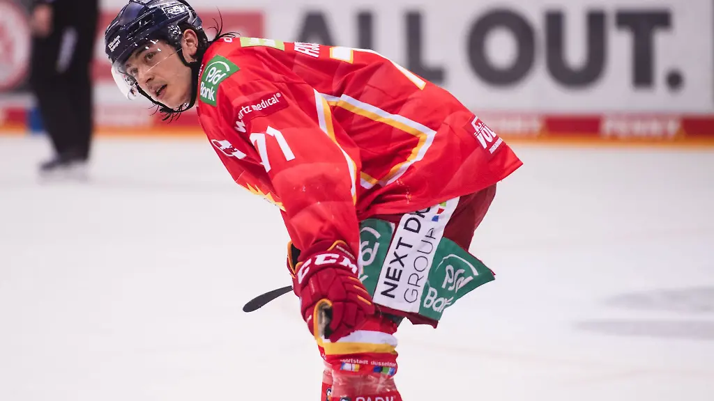 Duesseldorfs-Daniel-Fischbuch