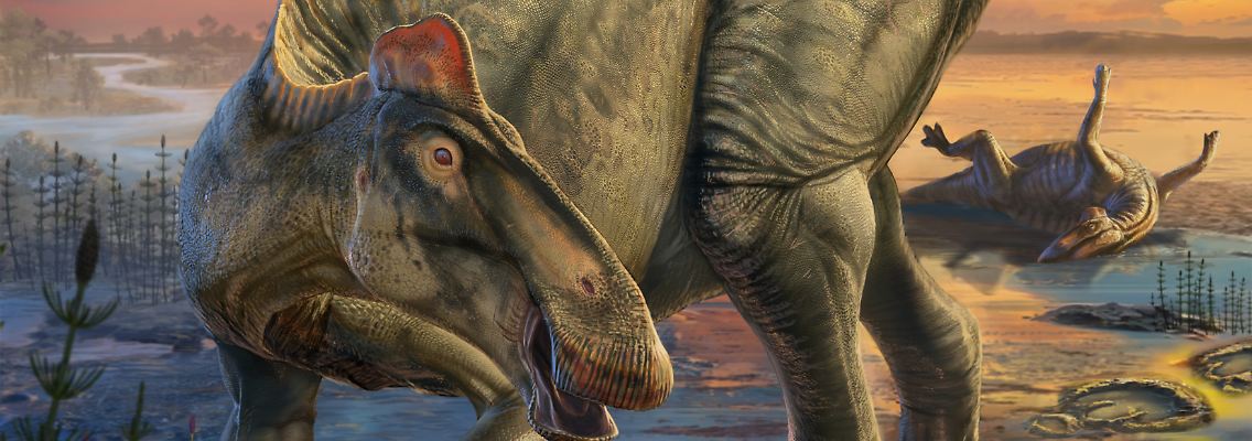 Mumifizierte Dinosaurier (1).jpg