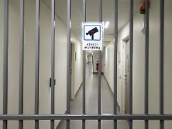 Maßnahme gegen kriminelle Gangs: Schweden will schon 13-Jährige ins Gefängnis stecken