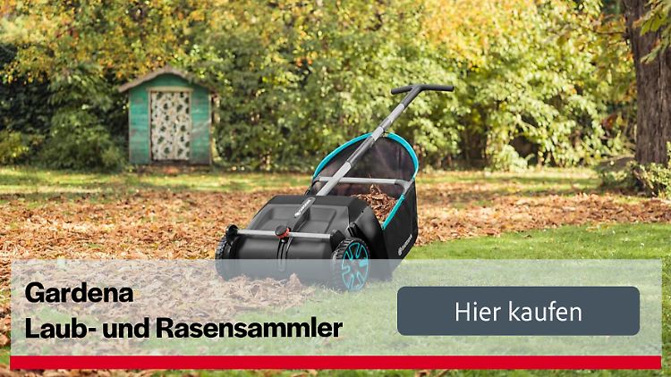 2024_EINZELARTIKEL BUTTON Gardena.jpg