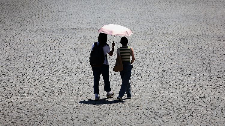 Die Erde heizt sich immer weiter auf - das hat schon jetzt fatale Folgen.