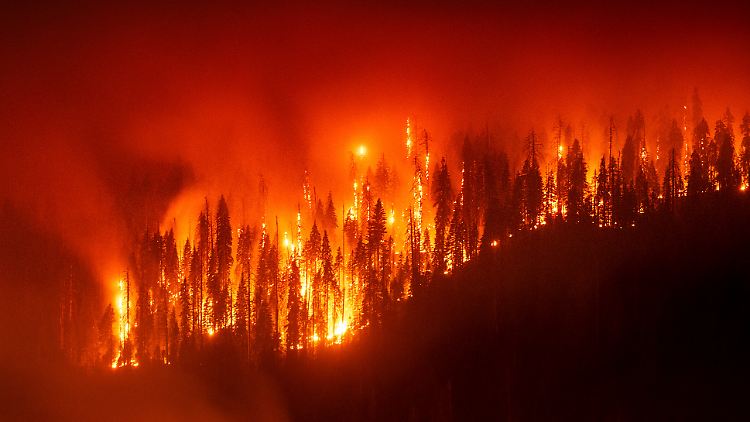 Verheerende Waldbrände verschlimmern den Zustand der Erde zusätzlich.