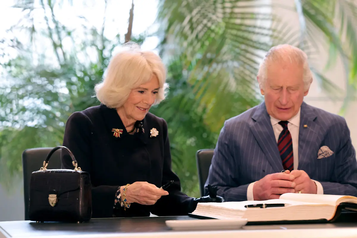 66e812a364d715256ba034f82cf45913