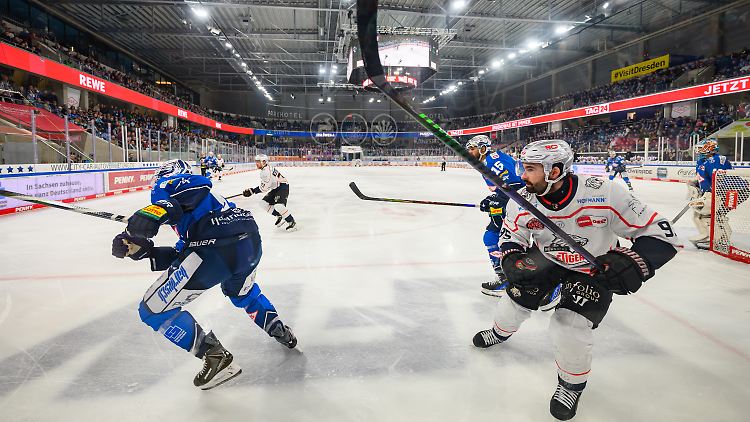 Die Dresdner Eislöwen sind in der DEL überfordert.