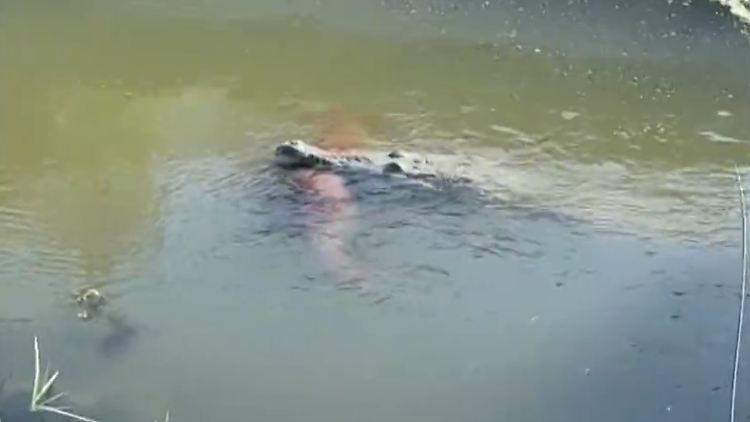 Screenshot 2025-10-30 120937.png