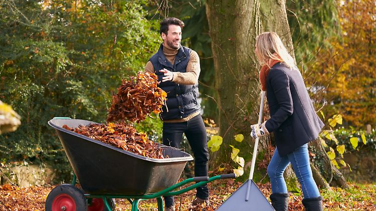 Bevor der Frost kommt, heißt es: anpacken statt einpacken.
