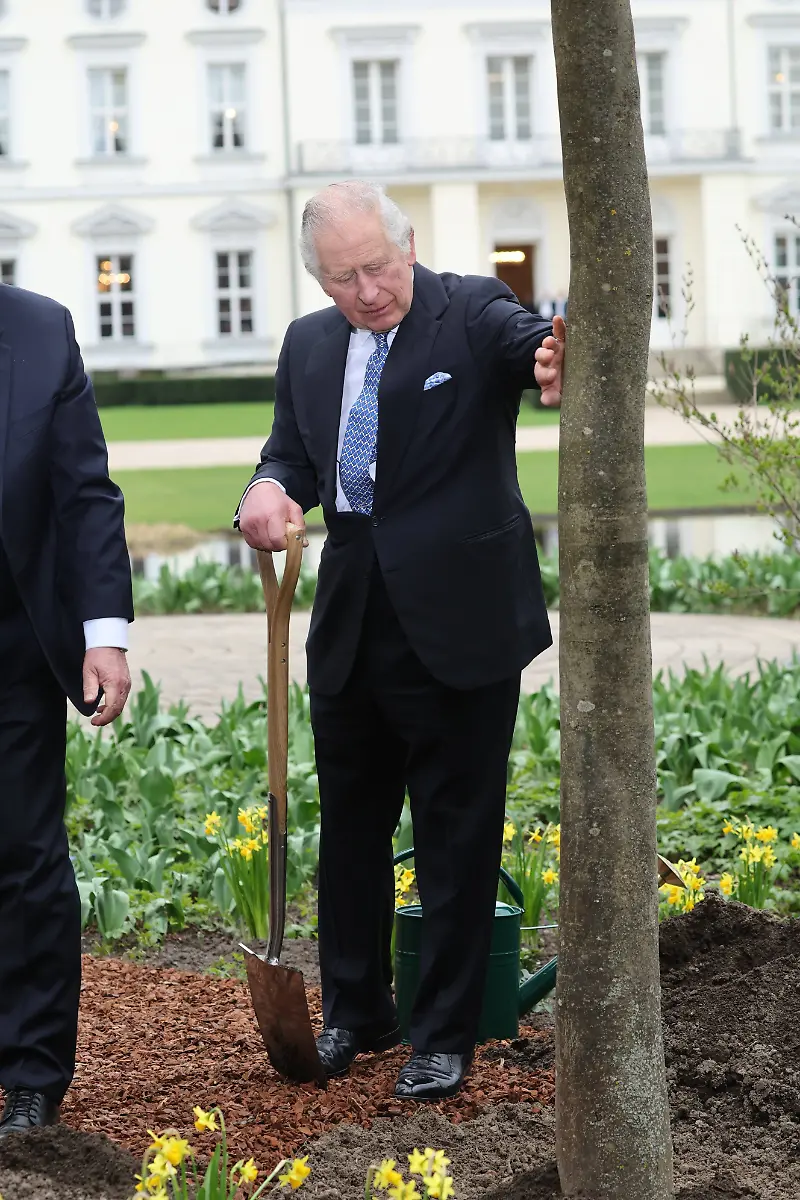 8d393795c2eb56d43ed51eb194ea060f