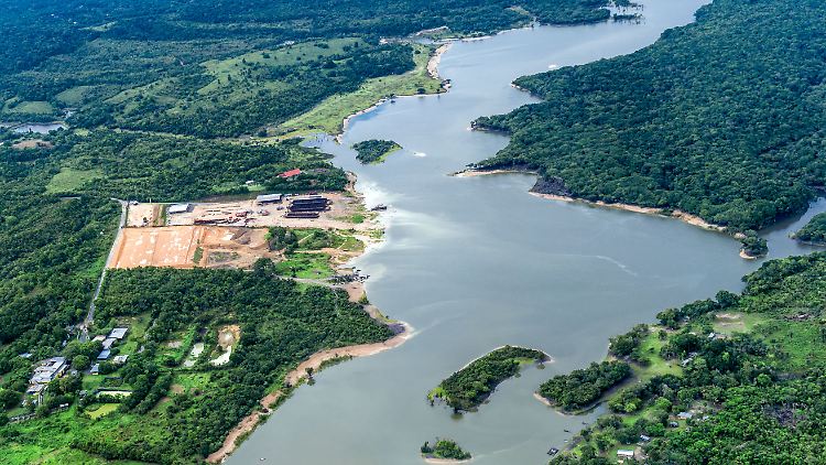 Die Abholzung der Wälder ist maßgeblich dafür verantwortlich, dass Brasilien der viertgrößte CO2-Emittent der Welt ist.