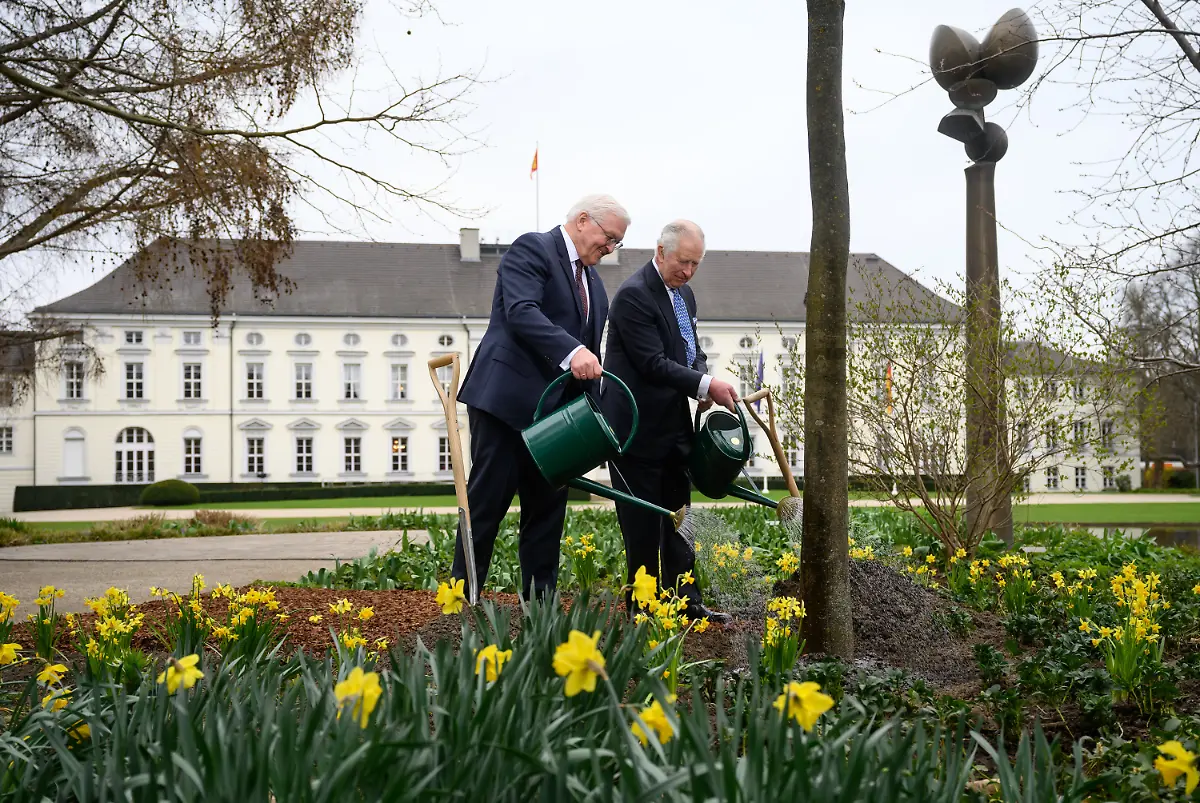 723c4ff239c2fe7285a25629b62b41c3