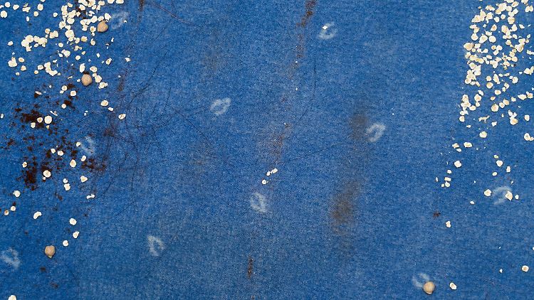 … fast auf Anhieb weg.