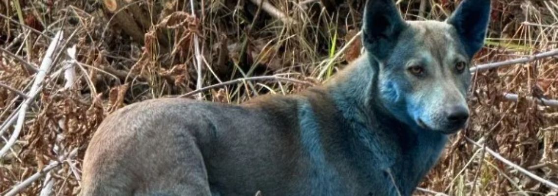 Screenshot 2025-11-02 085201.jpg