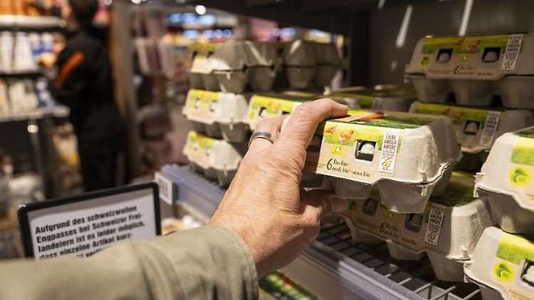 Bislang wurde wegen der Geflügelpest nur ein Bruchteil des Bestandes der Betriebe getötet. Das könnte sich aber noch ändern.