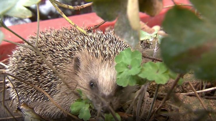 Screenshot 2025-11-03 100406.png