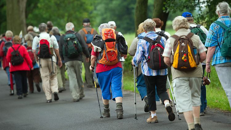 Senioren auf Wandertour: Körperliche Aktivität kann bewirken, dass sich die Alzheimer-Ausprägung verlangsamt.