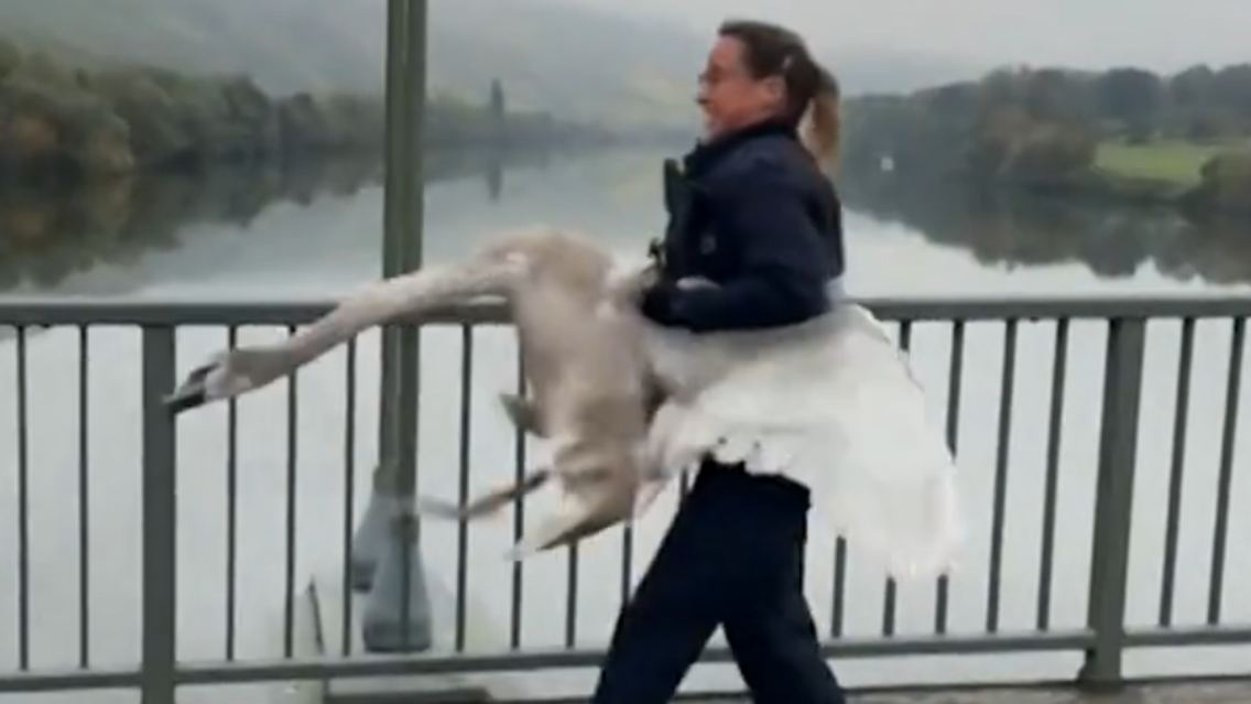 Screenshot 2025-11-03 141759.png