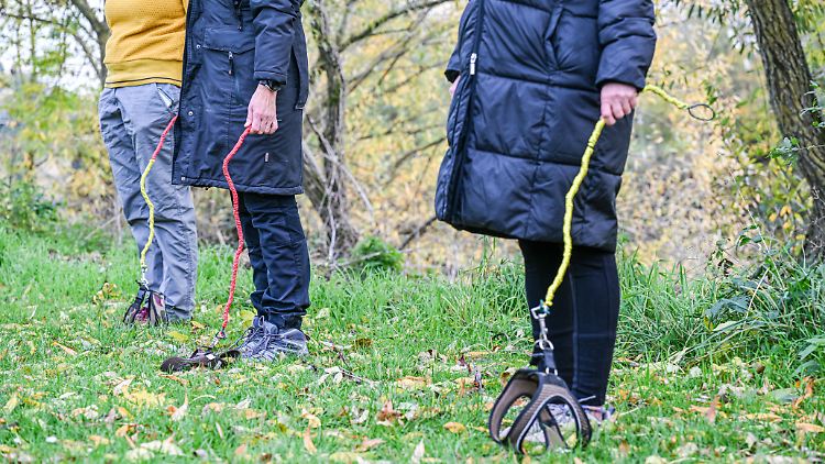 Zum "Hobby-Dogging"gehört eine gute Portion Vorstellungskraft.